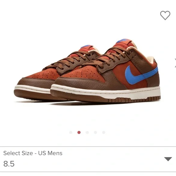 Nike dunk retro premium